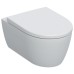 501.663.JT.1 iCon  Комплект підвісного унітаза, закрита форма, Rimfree, з сидінням із кришкою, Softclose, швидкорознімні кріплення із замком, колір білий мат (1 сорт)