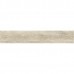 LENK MAPLE AS/24X151/C/R (1 сорт)